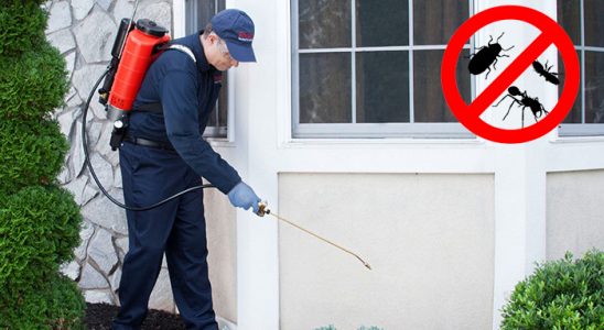 Borçka Kene İlaçlama böcek ilaçlama ve haşere kontrolü — ilaclama-tr.com